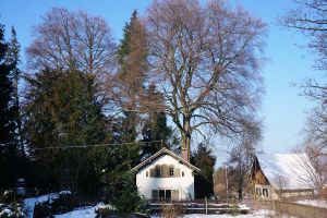  An der Bergstrasse gruppieren sich eine Scheune, ein Gärtnerhaus und ein Waschhaus um einen kleinen Hof.