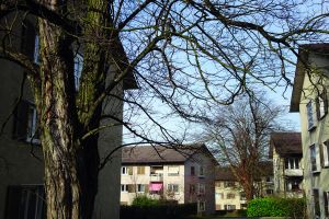 Blick in die bestehende Gartensiedlung aus dem Jahr 1951 