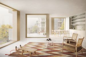 Blick in eine Wohnung Boltshauser Architekten