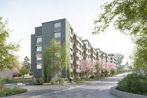 Erneuerung Siedlung Gartenstrasse, Affoltern am Albis
